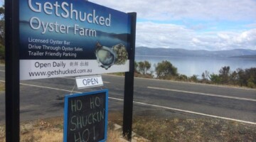 GET SHUCKED BRUNY ISLAND OYSTERS1