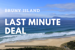 LAST MINUTE LAST MINUTE
